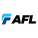 AFL Fiber Cleaning Tools